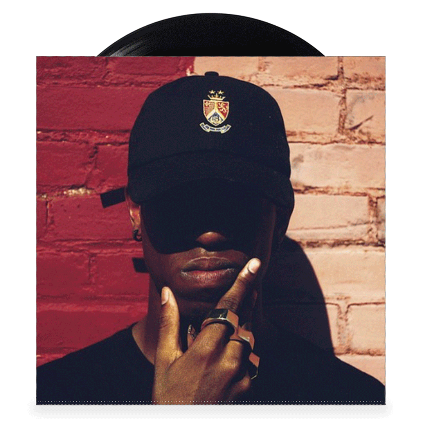 Custom Vinyl Cover for 5inch Records VinylArt Co